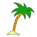palma